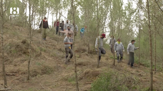 Afempes y el Voluntariado Medioambiental